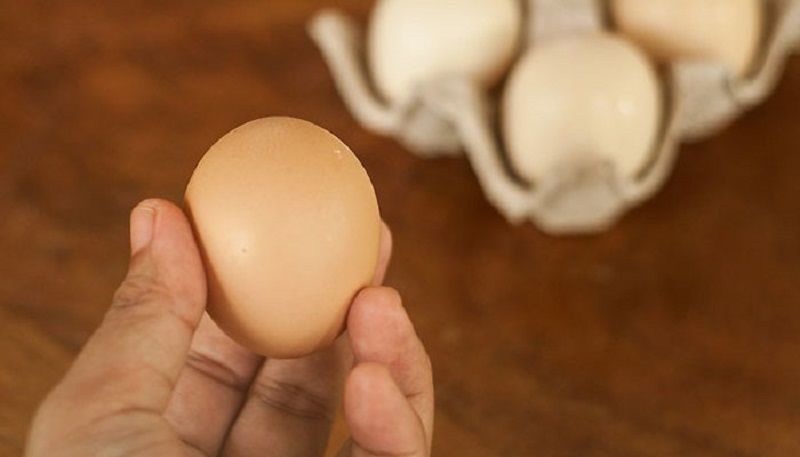 Mua trứng gà sạch ở đâu uy tín an toàn cho sức khỏe
