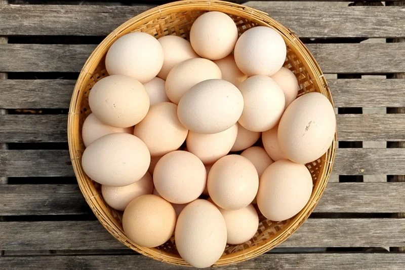 Địa chỉ cung cấp giá trứng gà sạch cạnh tranh nhất thị trường