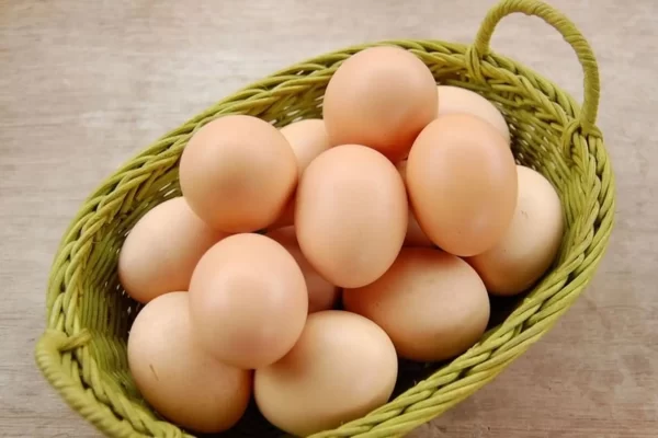 Đại lý trứng gà sạch là gì? Hợp tác cùng trang trại uy tín 2 Đại lý trứng gà sạch là gì? Hợp tác cùng trang trại uy tín
