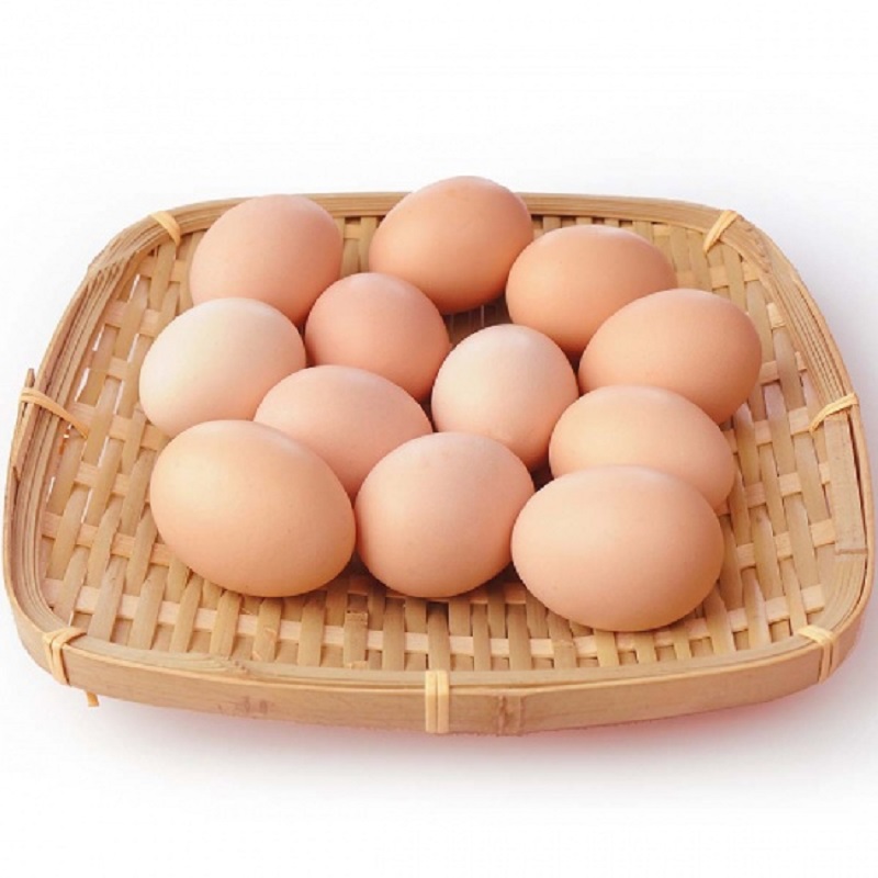 Trứng gà sạch VietGAP - Lựa chọn thông minh cho sức khỏe và chất lượng 4 Trứng gà sạch VietGAP - Lựa chọn thông minh cho sức khỏe và chất lượng
