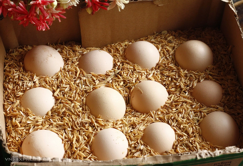 Mua trứng gà công nghiệp sạch ở đâu ngon sạch an toàn