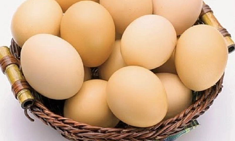 Khám phá cửa hàng bán trứng gà sạch được người tiêu dùng tin chọn 2 Khám phá cửa hàng bán trứng gà sạch được người tiêu dùng tin chọn