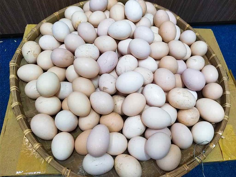 Gợi ý địa chỉ mua trứng gà công nghiệp sạch hữu cơ an toàn giá tốt