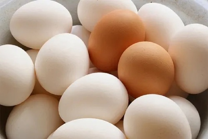 Đại lý trứng gà sạch là gì? Hợp tác cùng trang trại uy tín 5 Đại lý trứng gà sạch là gì? Hợp tác cùng trang trại uy tín