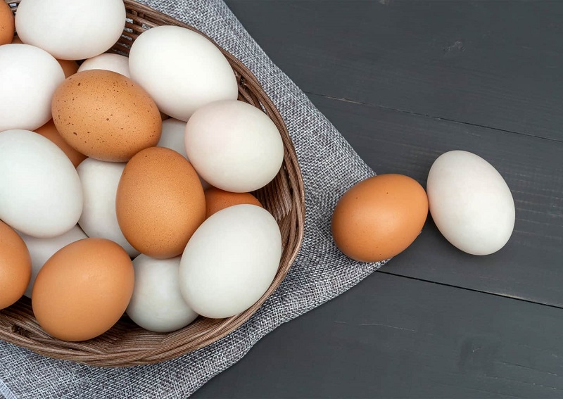 duck eggs vs chicken eggs 4240