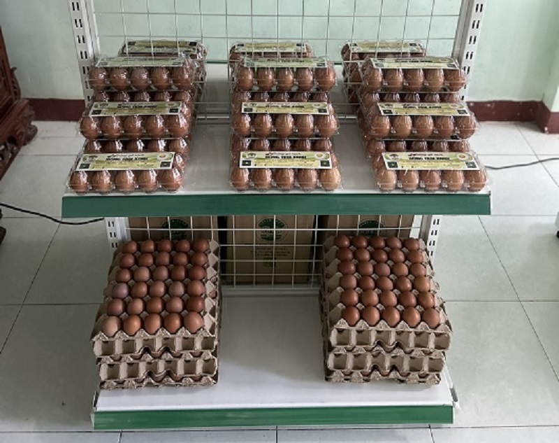 Giá trứng gà công nghiệp sạch cập nhật mới nhất & những điều cần biết 2 Giá trứng gà công nghiệp sạch cập nhật mới nhất & những điều cần biết