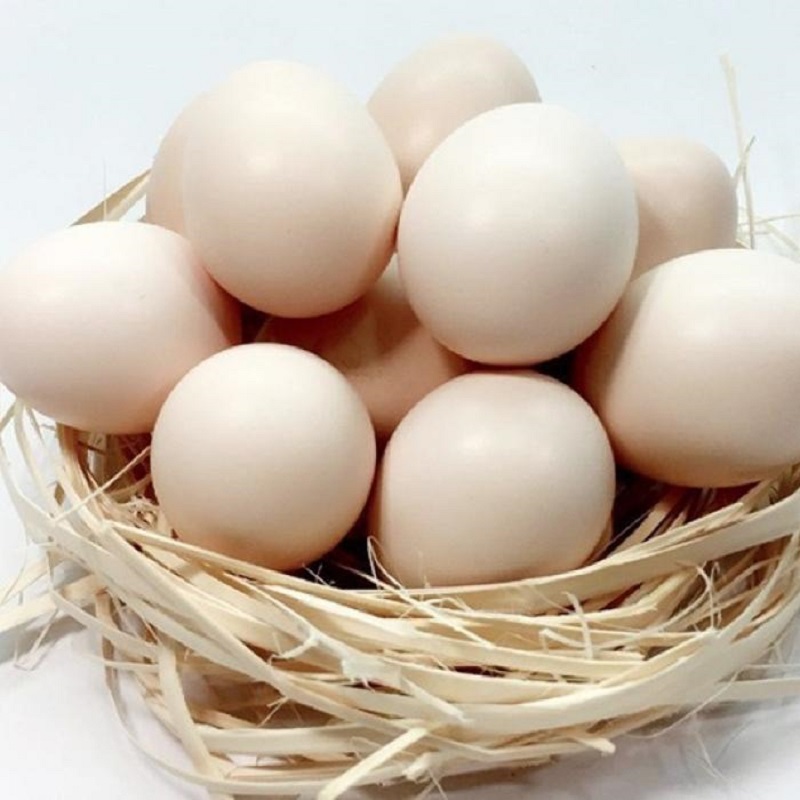 Gợi ý địa chỉ mua trứng gà công nghiệp sạch hữu cơ an toàn giá tốt