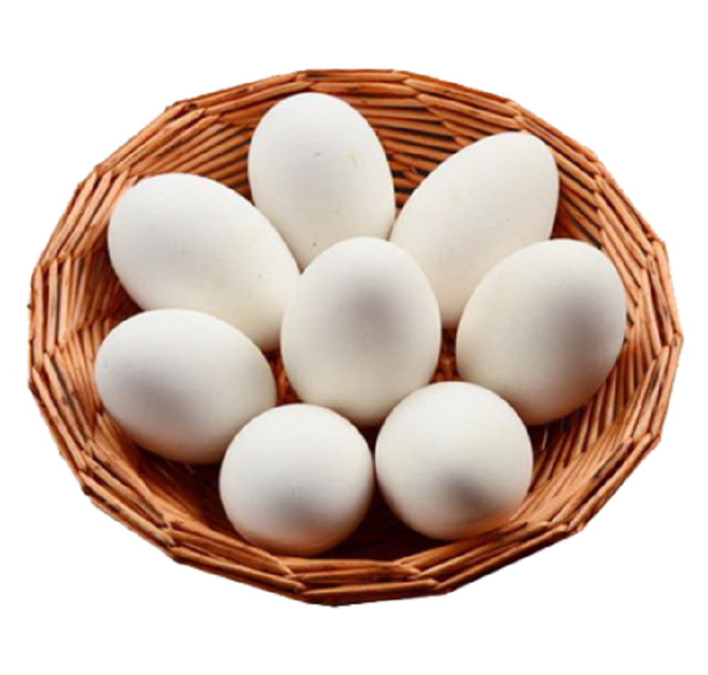 Bảo quản trứng gà sạch đúng cách – bí quyết giữ trứng tươi lâu