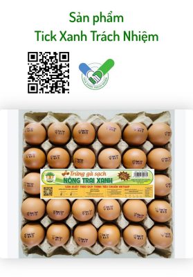 Giá trứng gà công nghiệp sạch cập nhật mới nhất & những điều cần biết