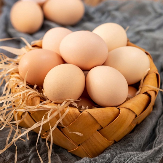 550x550 crtrung ga 23