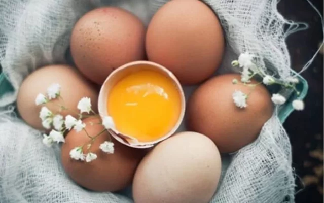 Tăng sức đề kháng, mau khỏi cảm cúm nhờ trứng gà sạch Nông Trại Xanh 2 Tăng sức đề kháng, mau khỏi cảm cúm nhờ trứng gà sạch Nông Trại Xanh