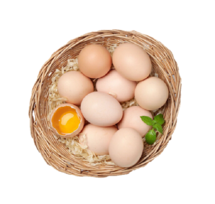 trứng gà hữu cơ chuẩn VietGAP