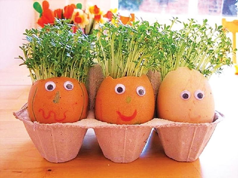 Tác dụng tuyệt vời mà vỏ trứng gà sạch mang lại cho cây trồng 3 Tác dụng tuyệt vời mà vỏ trứng gà sạch mang lại cho cây trồng